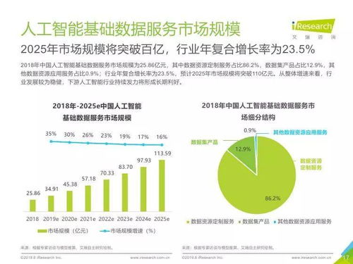 中國人工智能基礎數據服務行業與基礎軟件開發報告